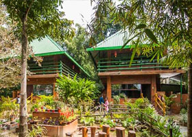 resort in kaziranga