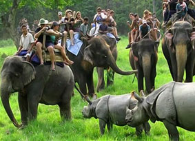 kaziranga tour