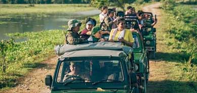 kaziranga jeep safari