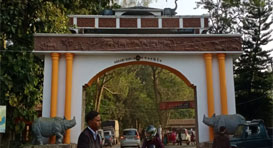 kaziranga safari zones