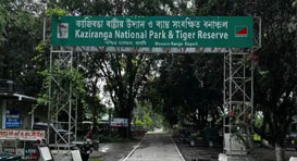 kaziranga safari zones